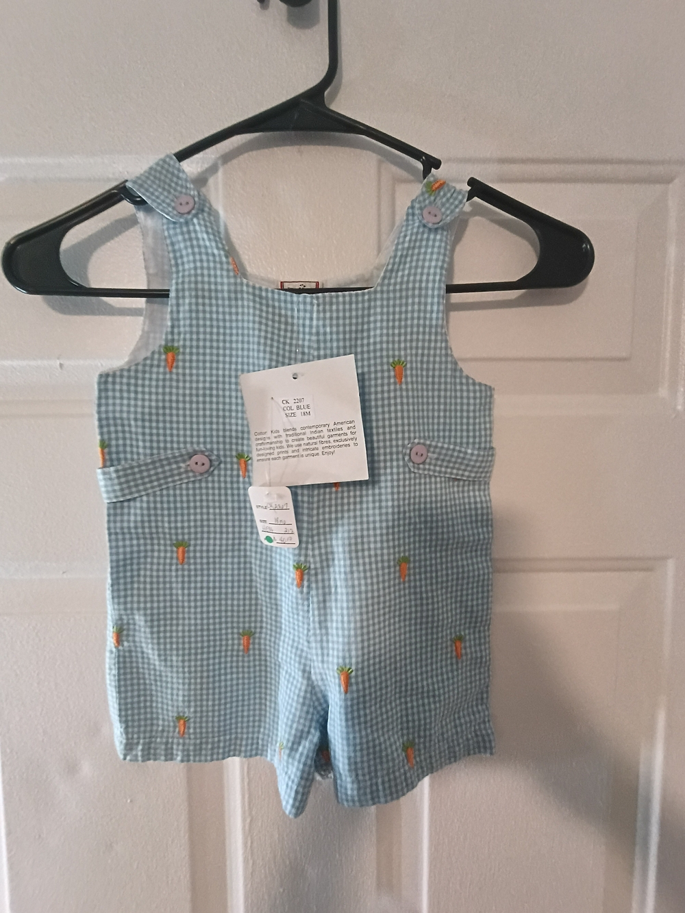 Blue Gingham Kids One-Piece Romper with Carrot Embroidery